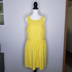 Kensie Golden Yellow Floral Lace Dress, Fit and Flare XL